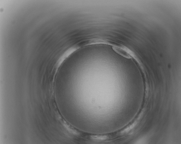 X0000062931145200601202020