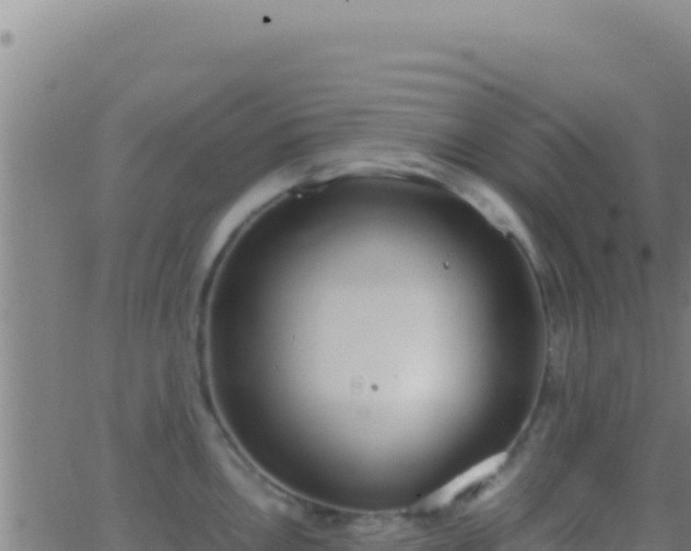 X0000062931146200601202020