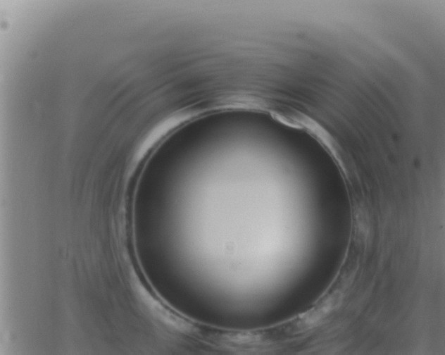 X0000062931147200601202020