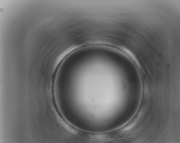 X0000062931149200601202020