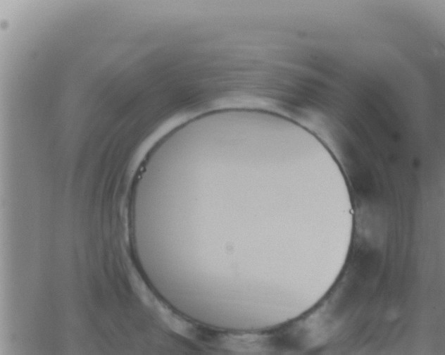 X0000062931150200601202020