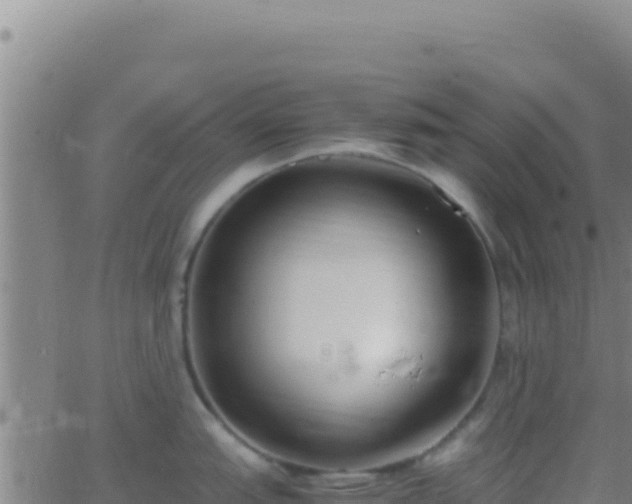 X0000062931151200601202020