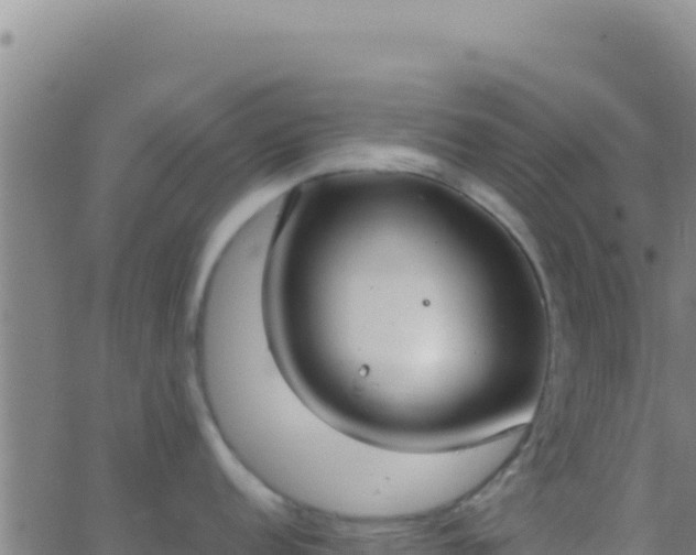 X0000062931152200601202020