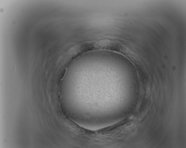 X0000062931153200601202019