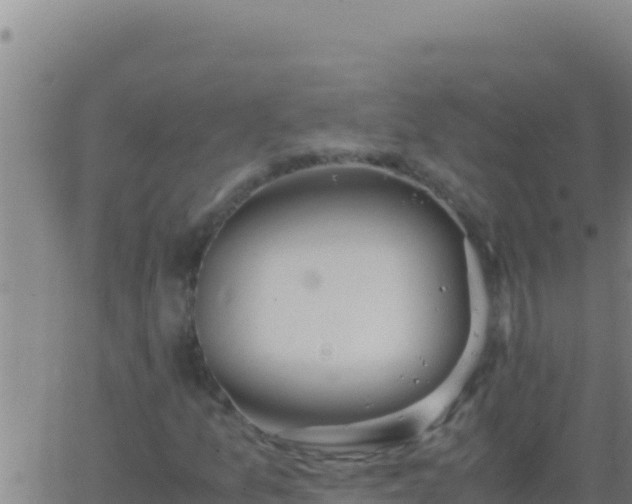 X0000062931157200601202019