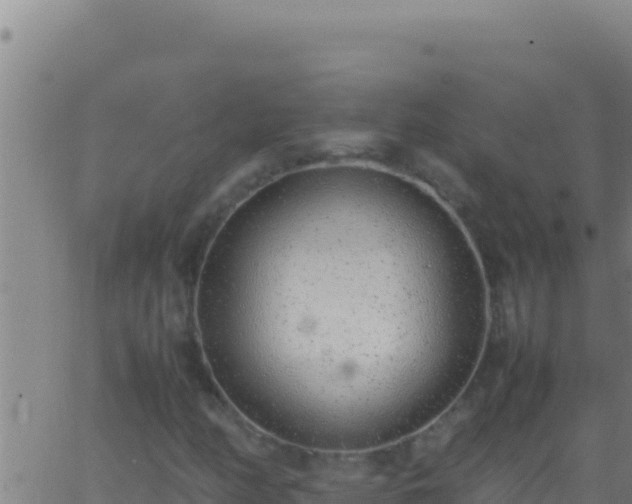 X0000062931158200601202019