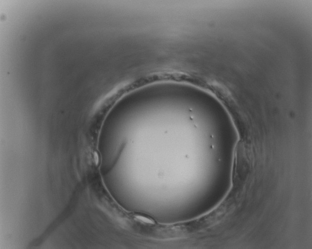 X0000062931159200601202019