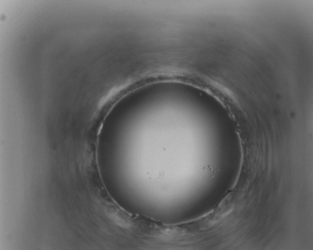 X0000062931160200601202019