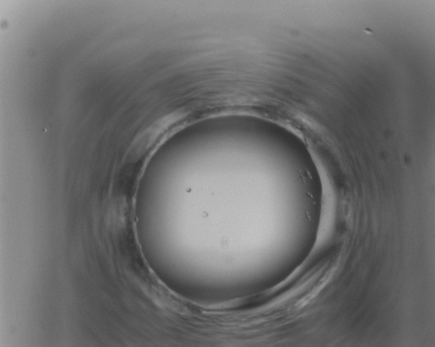 X0000062931161200601202019