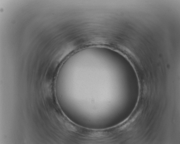 X0000062931162200601202019