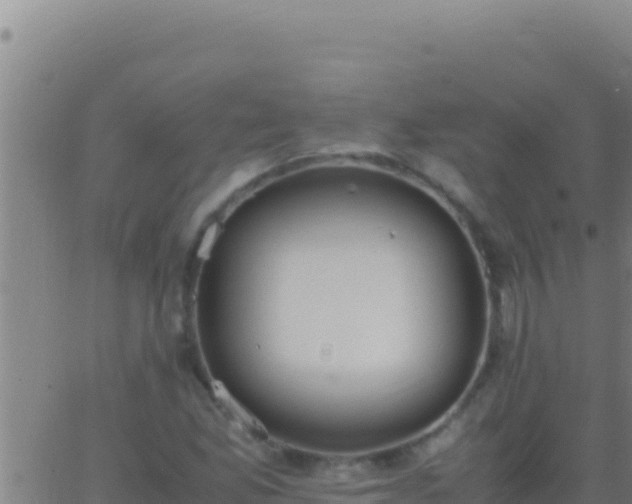 X0000062931165200601202019