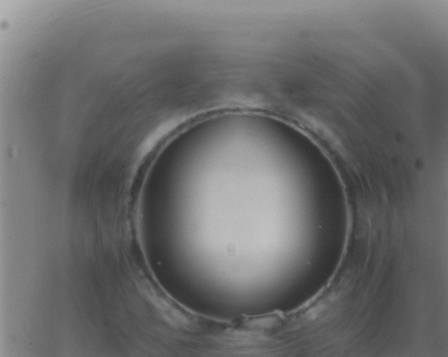 X0000062931168200601202019