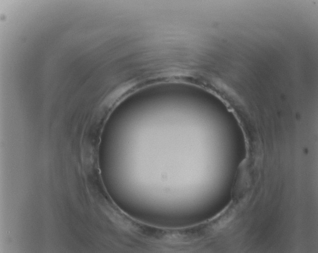 X0000062931169200601202019