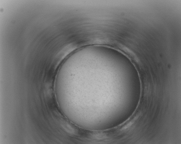 X0000062931170200601202019