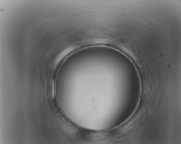 X0000062931171200601202019