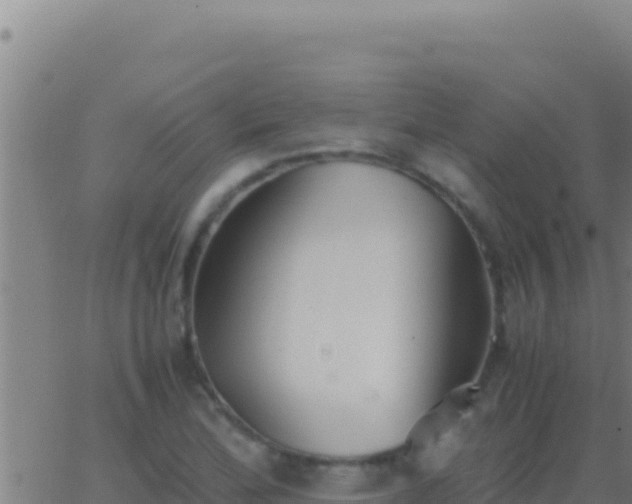 X0000062931172200601202019