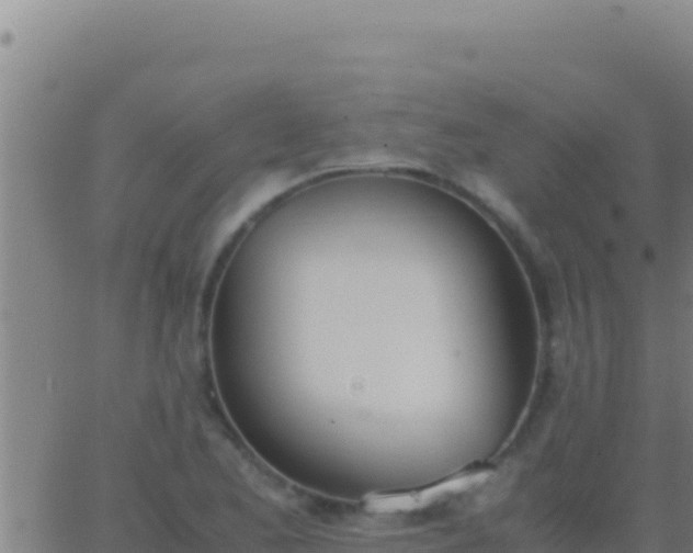 X0000062931173200601202019