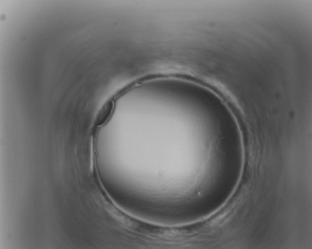 X0000062931175200601202019