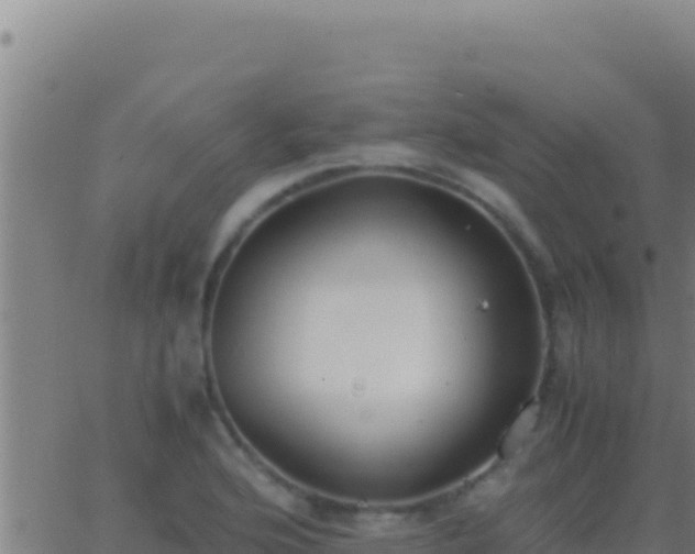 X0000062931176200601202019