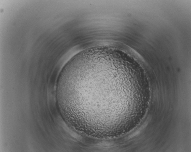 X0000062931178200601202019