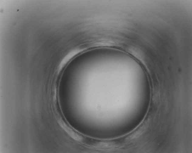 X0000062931179200601202019