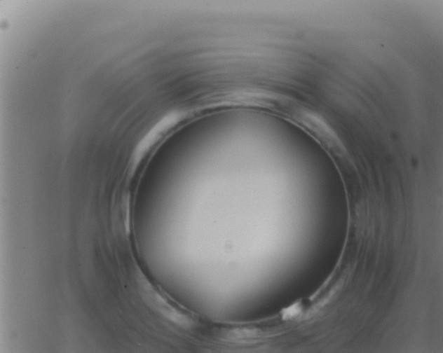 X0000062931180200601202019