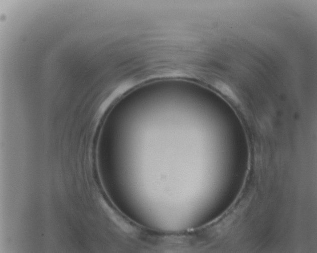 X0000062931181200601202019