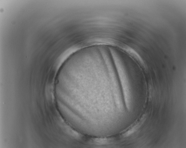 X0000062931182200601202019