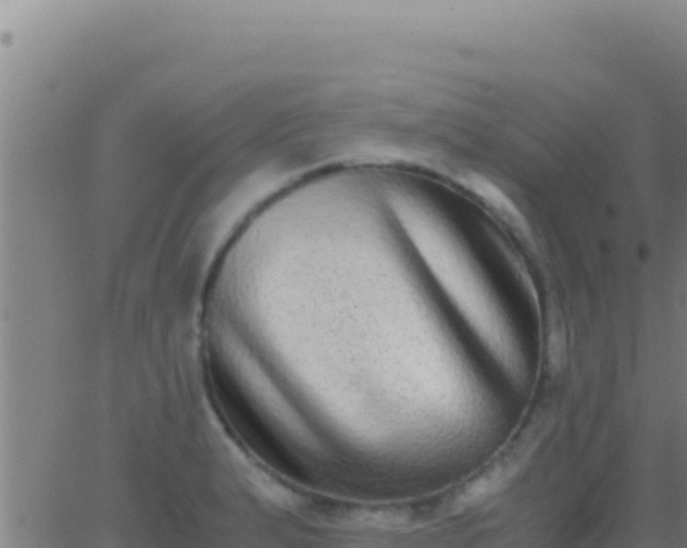 X0000062931183200601202019