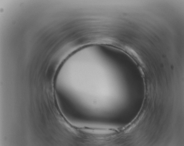 X0000062931184200601202019