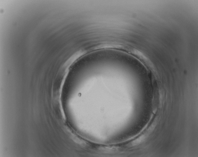 X0000062931185200601202019