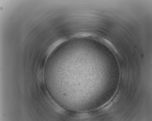 X0000062931186200601202019