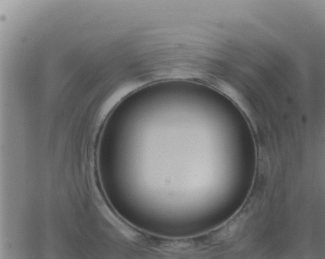 X0000062931187200601202019