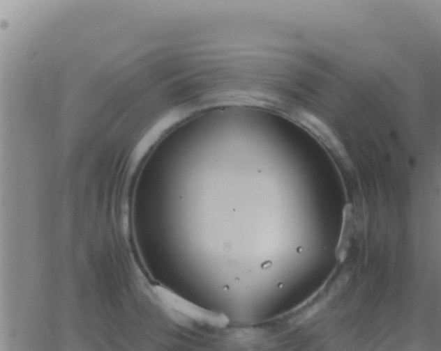 X0000062931188200601202019