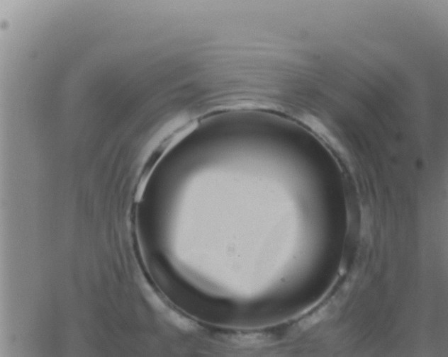 X0000062931189200601202019