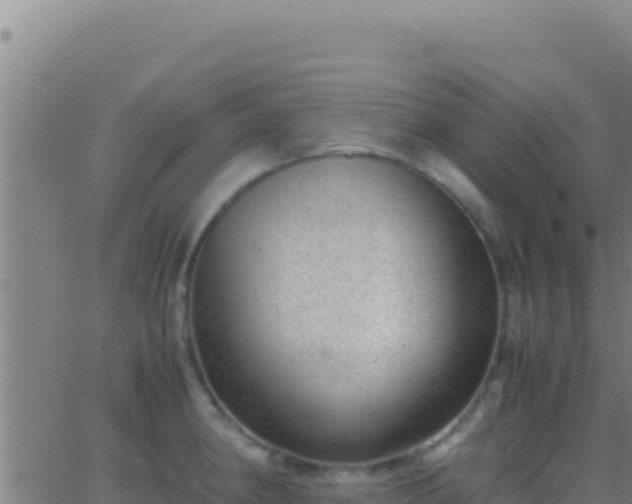 X0000062931190200601202019