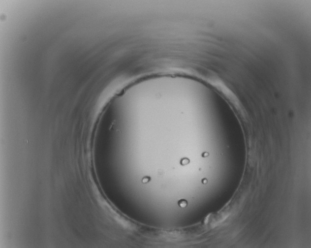 X0000062931191200601202019