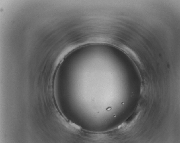 X0000062931192200601202019