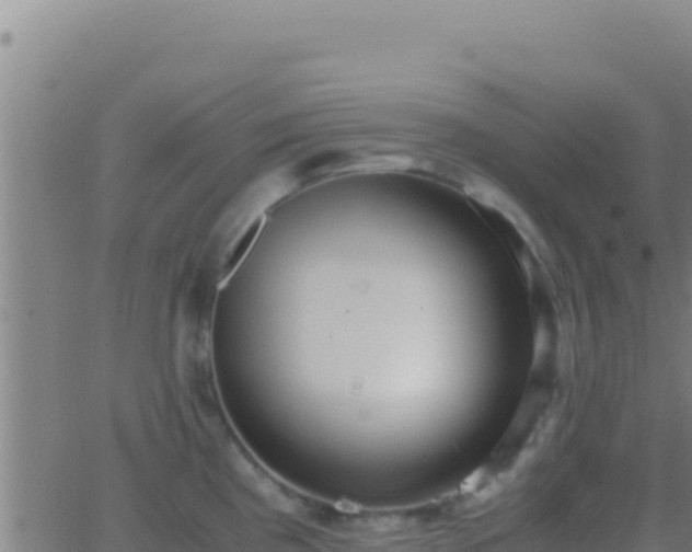 X0000062931193200601202019