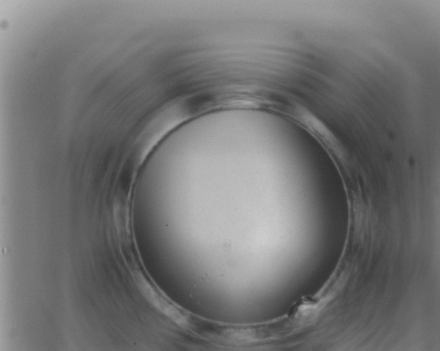 X0000062931194200601202019