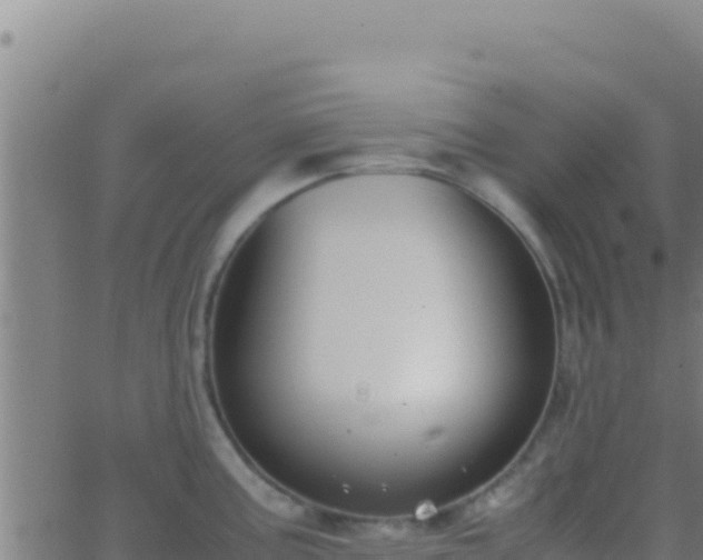 X0000062931195200601202019