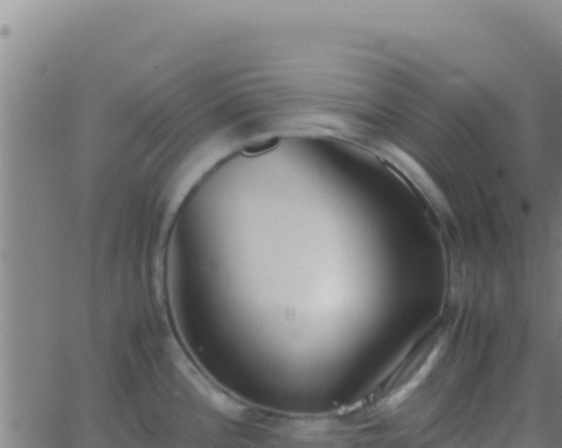 X0000062931196200601202019