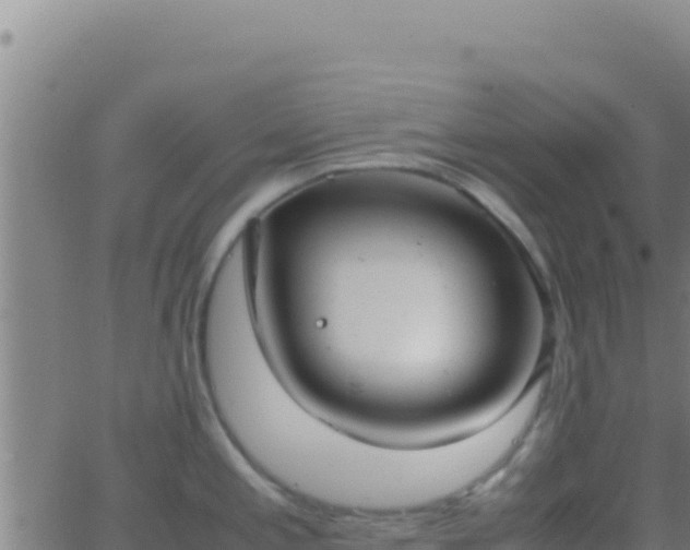 X0000062931197200601202019