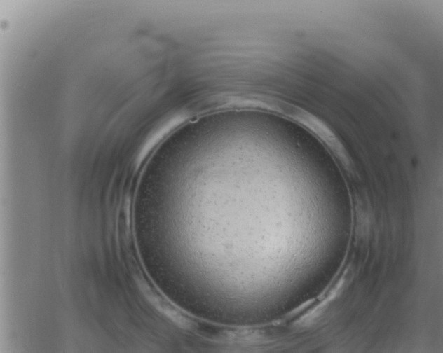 X0000062931198200601202019