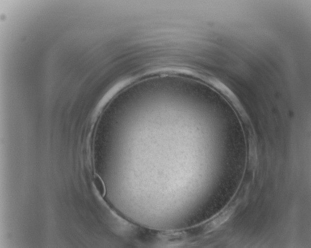 X0000062931199200601202019