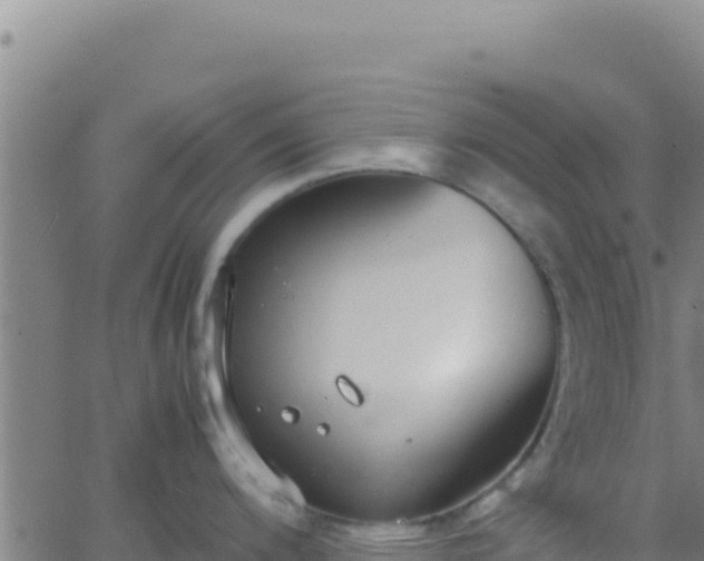 X0000062931200200601202019