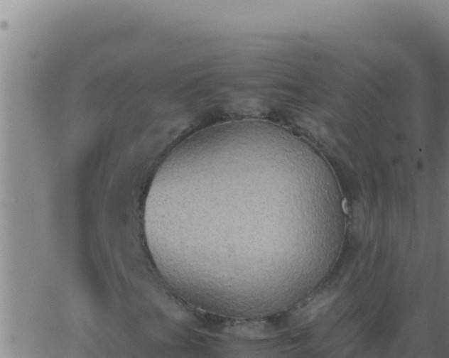 X0000062931201200601202018