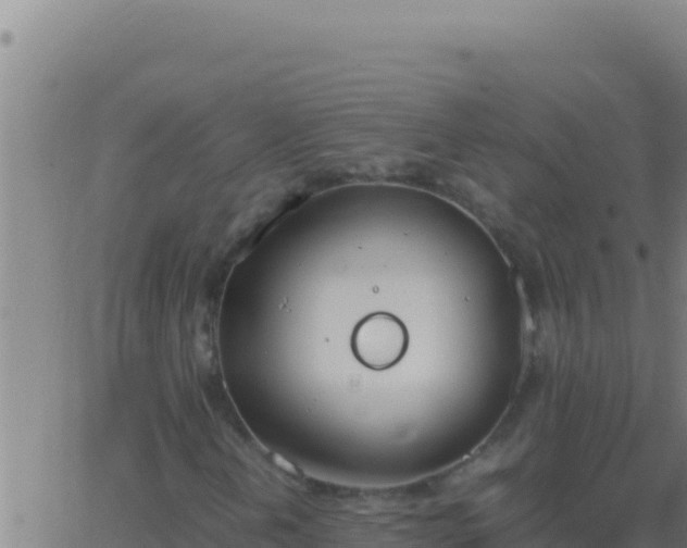 X0000062931202200601202018