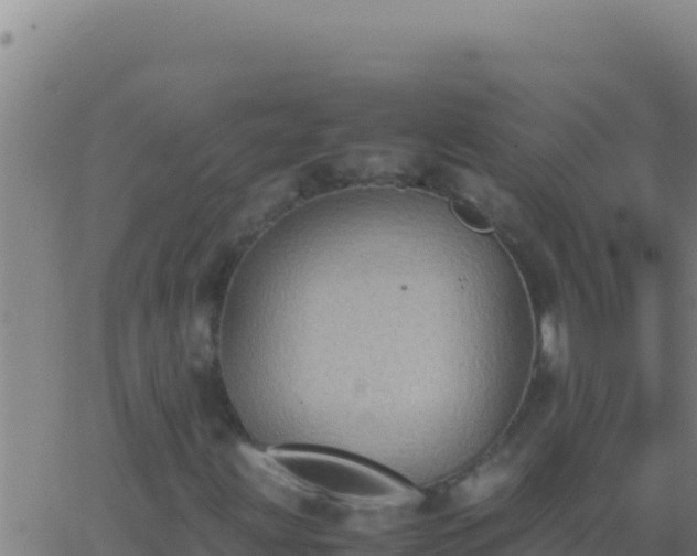 X0000062931203200601202018