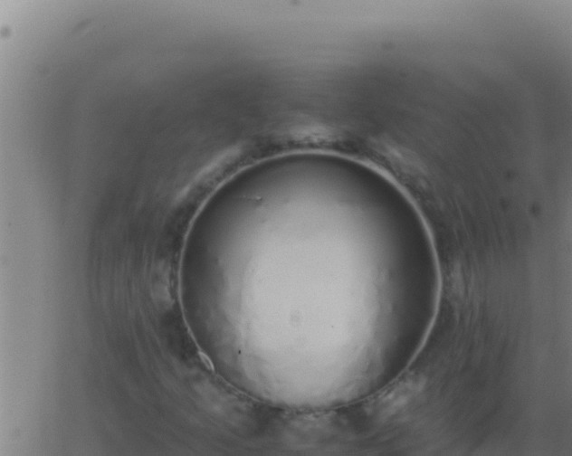 X0000062931205200601202018